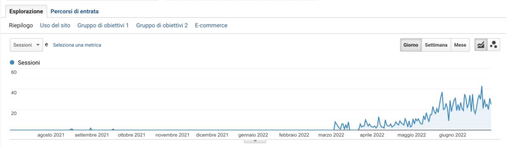 Grafico risultati case study SEO