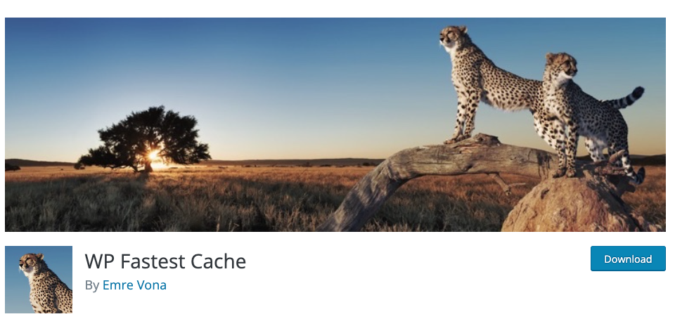 WP Fastest Cache, plugin per migliorare la velocità del sito web