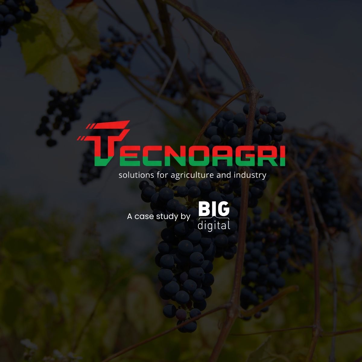 Copertina Case Study BIG Digital Tecnoagri